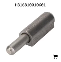 AGCO H816810010601 Петля