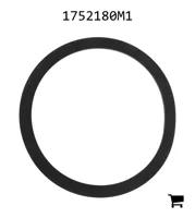 AGCO 1752180M1 Прокладка