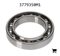 AGCO 3779350M1 Подшипниковый узел