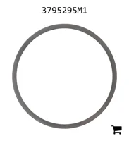 AGCO 3795295M1 Шайба