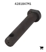 AGCO 4281847M1 Палец вилки