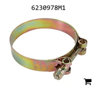 AGCO 6230978M1 Зажим