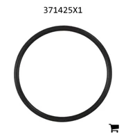 AGCO 371425X1 Уплотнительное кольцо