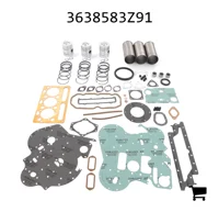 AGCO 3638583Z91 Комплект для капитального ремонта двигателя
