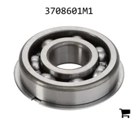 AGCO 3708601M1 Подшипник