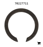 AGCO 70227711 Кольцо