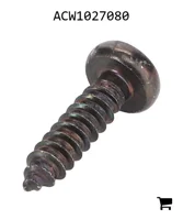 AGCO ACW1027080 Саморез