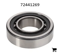 AGCO 72441269 Цилиндрический роликовый подшипник