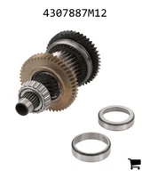 AGCO 4307887M12 Комплект для сборки на заводе, сервисный