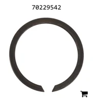 AGCO 70229542 Кольцо