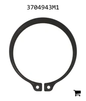 AGCO 3704943M1 Кольцо