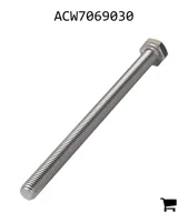 AGCO ACW7069030 Болт с шестигранной головкой