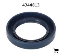 AGCO 4344813 Сальник