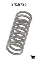 AGCO SN16786 Пружина сжатия