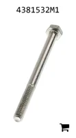 AGCO 4381532M1 Винт