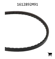 AGCO 1612892M91 Ремень клиновой 10AV, длина 56,0"