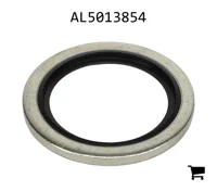 AGCO AL5013854 Шайба