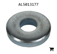 AGCO AL5013177 Шайба
