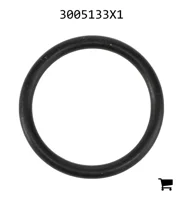 AGCO 3005133X1 Уплотнительное кольцо