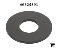 AGCO AG524391 Плоская шайба