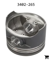 AGCO 3402-265 Поршень
