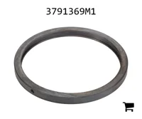 AGCO 3791369M1 Регулировочная шайба