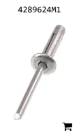 AGCO 4289624M1 Заклепка с плоской головкой