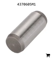 AGCO 4370605M1 Фиксатор