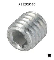 AGCO 72281086 Установочный винт