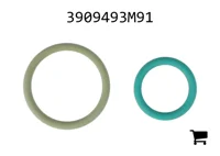 AGCO 3909493M91 Прокладка