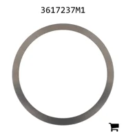 AGCO 3617237M1 Регулировочная шайба