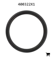 AGCO 400322X1 Уплотнительное кольцо