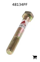 AGCO 48134PF Винт