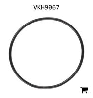AGCO VKH9067 Уплотнительное кольцо