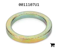 AGCO 0011107U1 Шайба