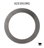 AGCO 4253933M1 Шайба