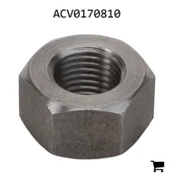AGCO ACV0170810 Гайка