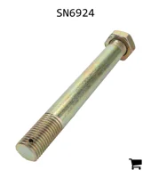 AGCO SN6924 Болт