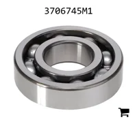 AGCO 3706745M1 Шариковый подшипник