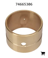 AGCO 74665306 Подшипник