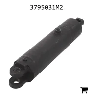 AGCO 3795031M2 Гидравлический цилиндр двойного действия