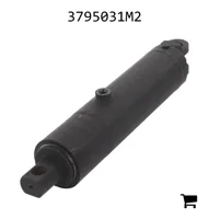 AGCO 3795031M2 Гидравлический цилиндр двойного действия