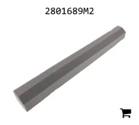 AGCO 2801689M2 Пена