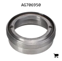AGCO AG706950 Комплект сальников