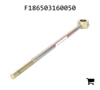 AGCO F186503160050 Вал