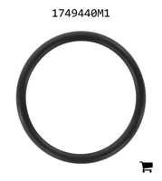 AGCO 1749440M1 Уплотнительное кольцо