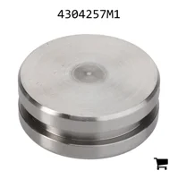 AGCO 4304257M1 Поршень