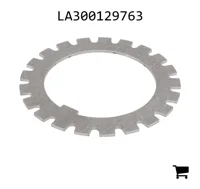 AGCO LA300129763 Зубчатая шайба