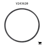 AGCO V243620 Уплотнительная шайба топливного фильтра предварительной очистки
