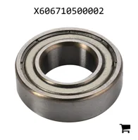 AGCO X606710500002 Радиальный шарикоподшипник